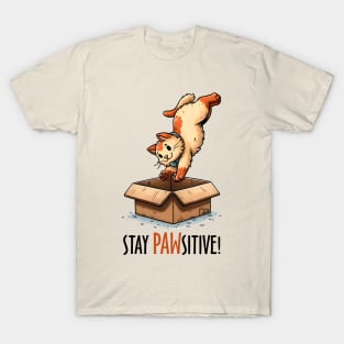 Stay Pawsitive Funny Cat T-Shirt